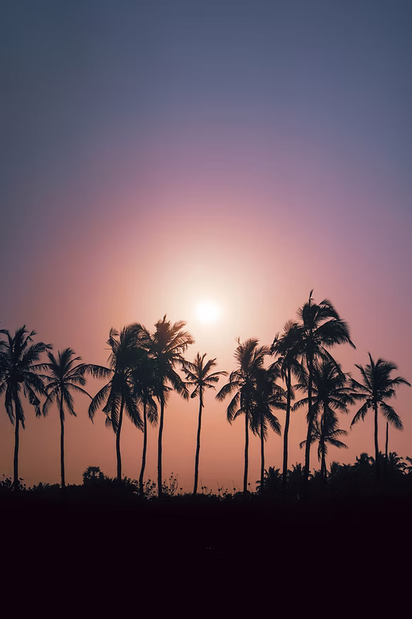 Kalpitiya