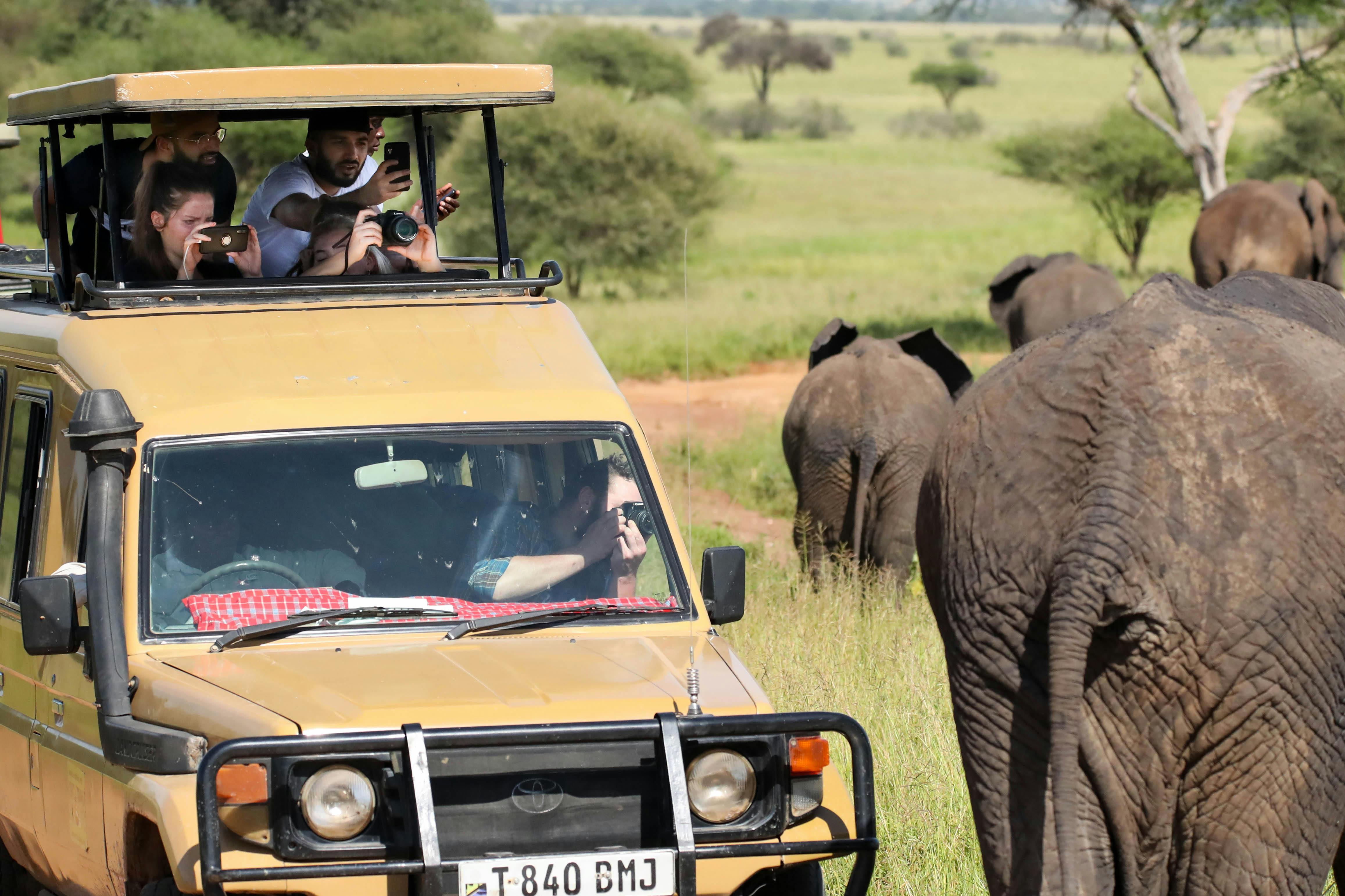 Wilpattu National Park